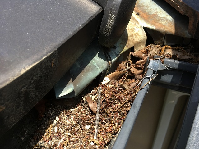 落ち葉のつまりを発見